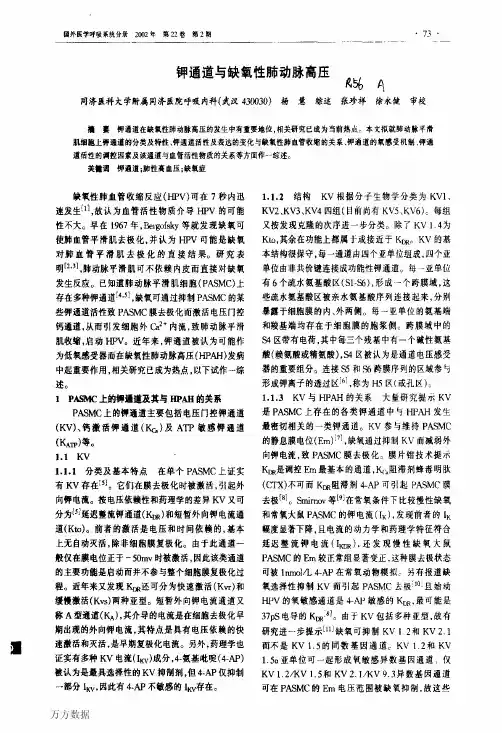 钾通道与缺氧性肺动脉高压