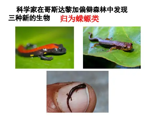 生物的命名和分类