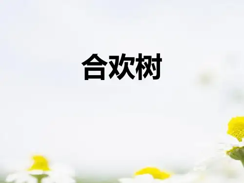 《合欢树》优秀PPT课件
