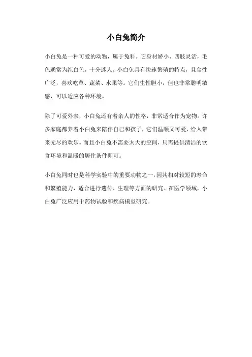 小白兔简介50字左右