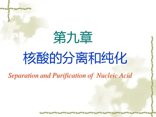 《基因工程》第九章   核酸提取与纯化