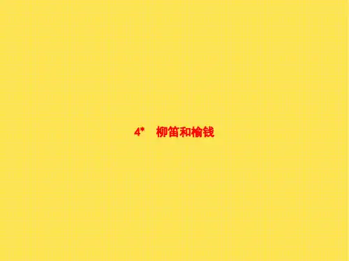 三年级下册语文课件-4.柳笛和榆钱_语文S版(共8张PPT)