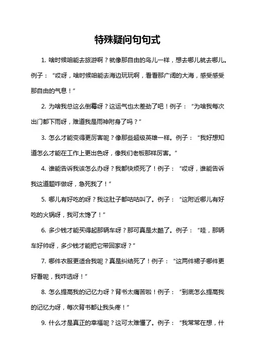 特殊疑问句句式