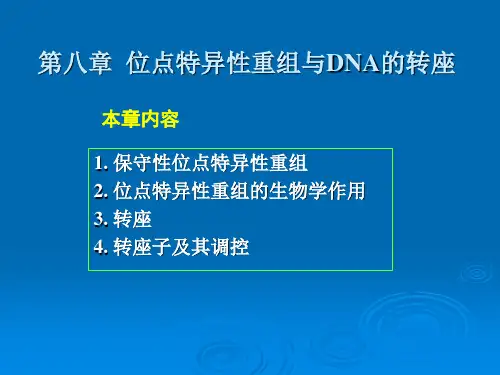 8-第八章--位点特异性重组与DNA的转座(1)