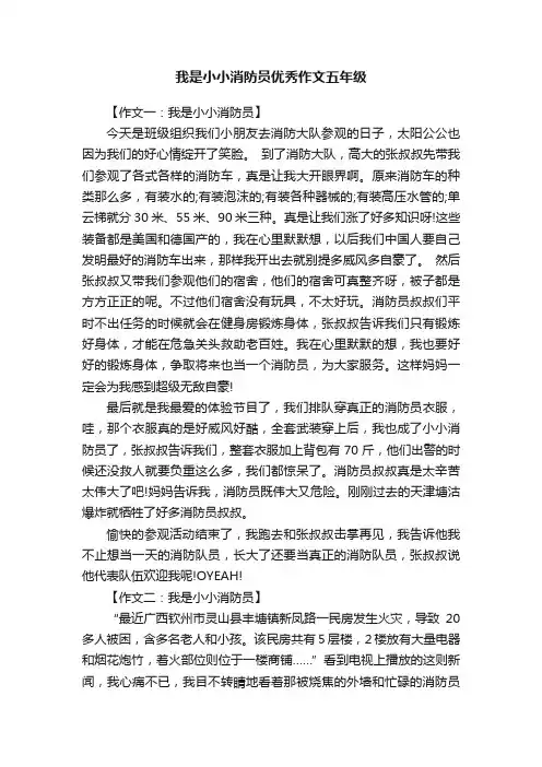 我是小小消防员优秀作文五年级