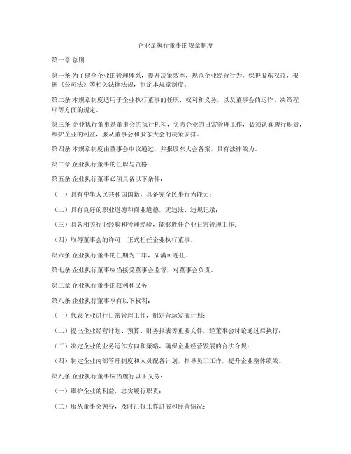 企业是执行董事的规章制度