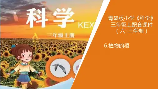 新青岛版小学科学六年制三年级上册6《植物的根》教学课件