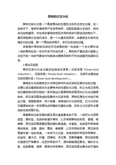 果树的花芽分化