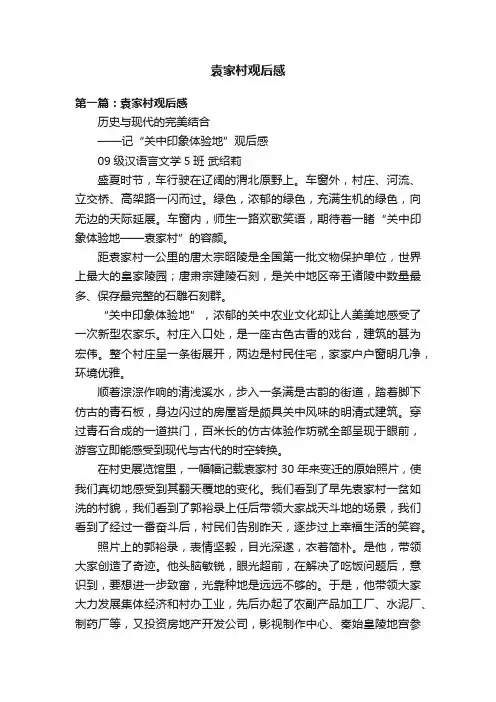 袁家村观后感