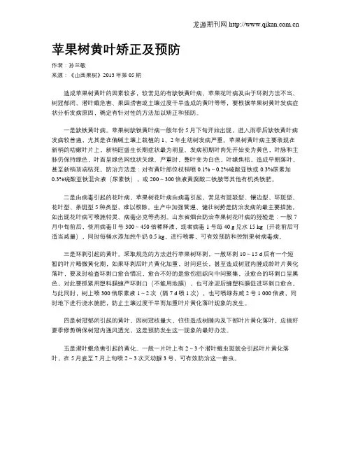 苹果树黄叶矫正及预防