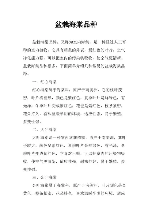 盆栽海棠品种