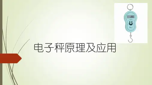 电子秤原理及应用-PPT课件