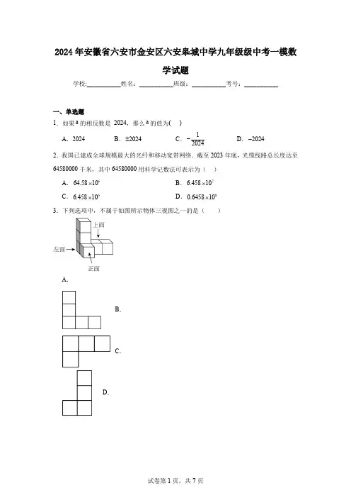 2024年安徽省六安市金安区六安皋城中学九年级级中考一模数学试题