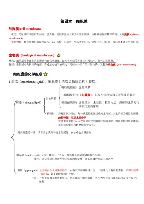细胞膜