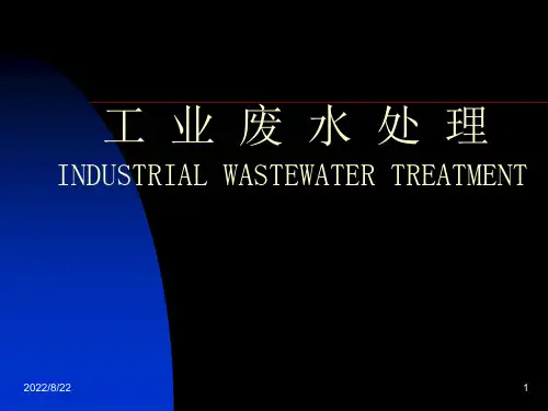 工业废水处理精品PPT
