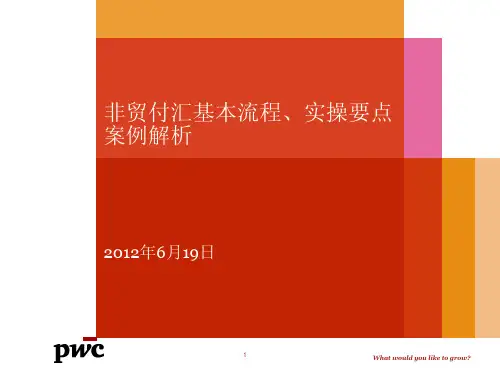 非贸付汇基本流程、实操要点案例解析