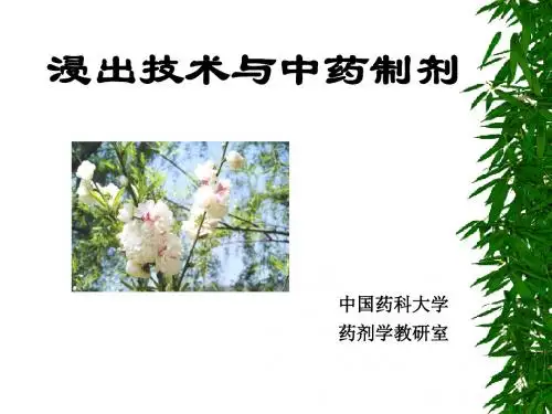 浸出技术与中药制剂ppt课件
