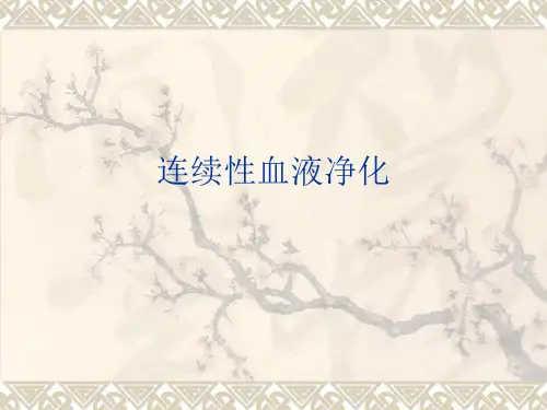 连续性血液净化