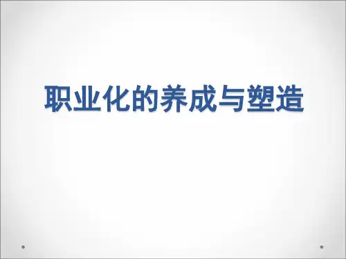 职业化的养成与塑造