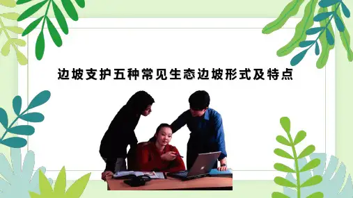 边坡支护五种常见生态边坡形式及特点完整PPT