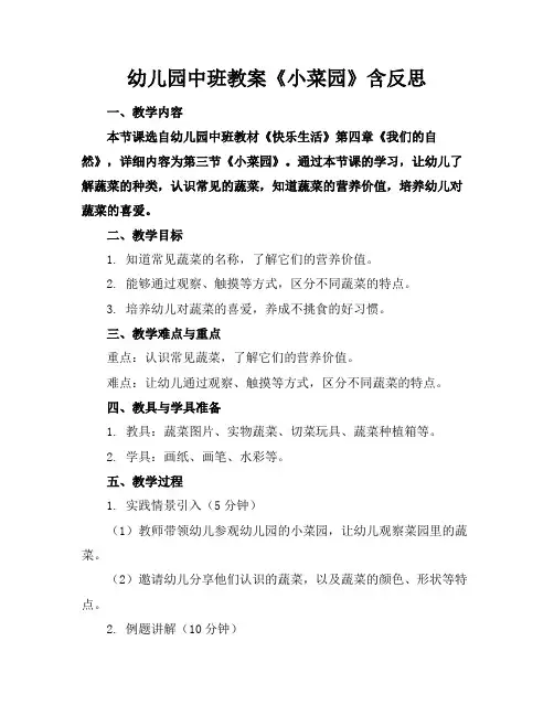 幼儿园中班教案《小菜园》含反思(1)