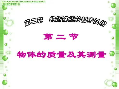 物体的质量及其测量(严)