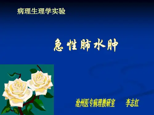 试验性肺水肿试验指标测定记录