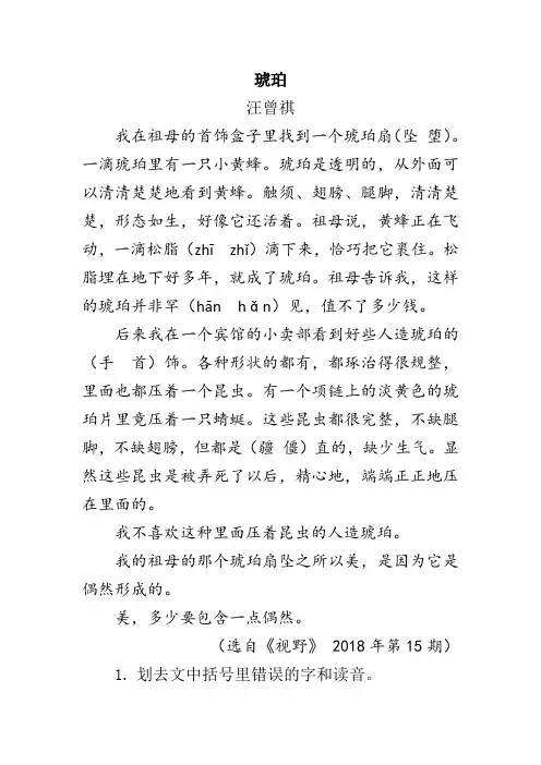 阅读理解《琥珀》附答案