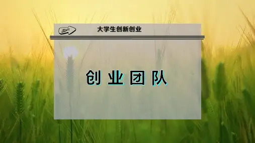 创 业 团 队