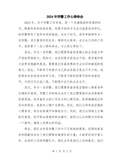 2024年刑警工作心得体会