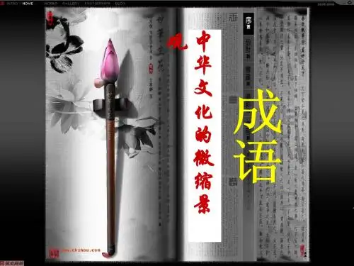 成语：中华文化的微缩景观(选用)