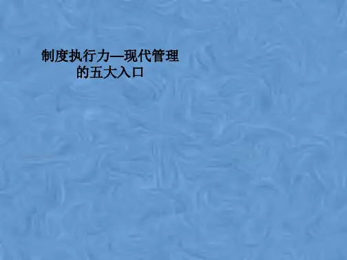 制度执行力—现代管理的五大入口