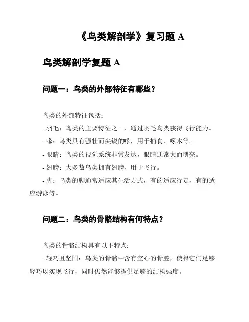 《鸟类解剖学》复习题A