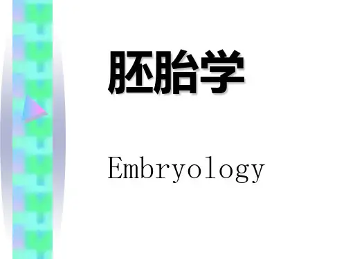 胚胎学总论