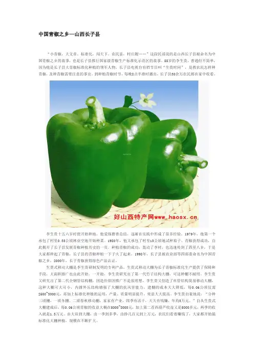 中国青椒之乡