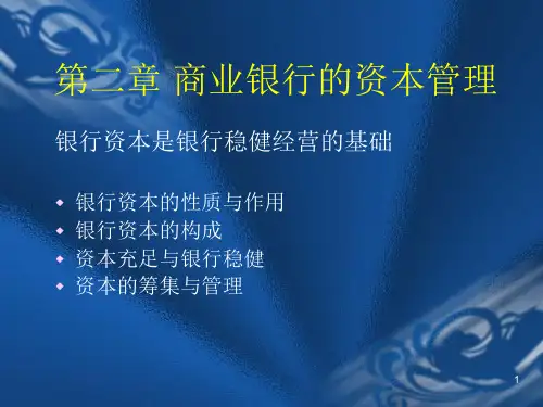 第2章商业银行的资本管理.pptx