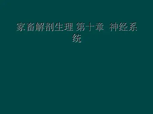 家畜解剖生理 第十章  神经系统