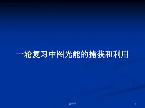 一轮复习中图光能的捕获和利用PPT学习教案