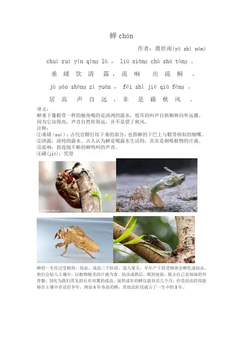 部编版一年级古诗词及译文(拼音版)