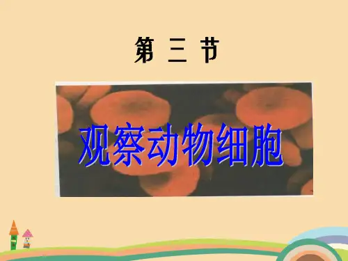 七年级生物观察动物细胞PPT优秀课件