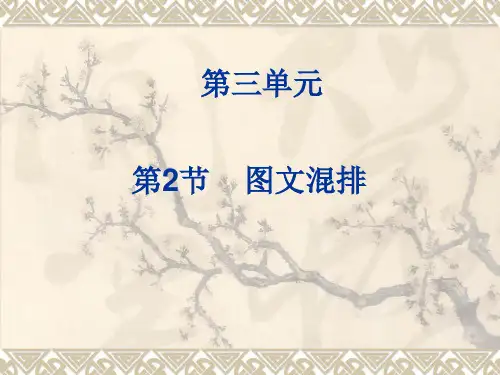 第3章第2节图文混排课件