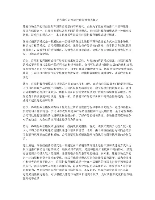 某咨询公司终端拦截营销模式概论