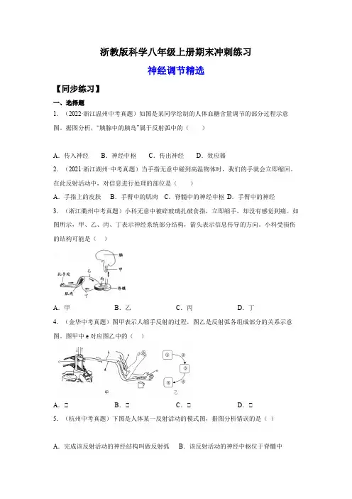 3.神经调节精选(练习)(原卷版+解析)