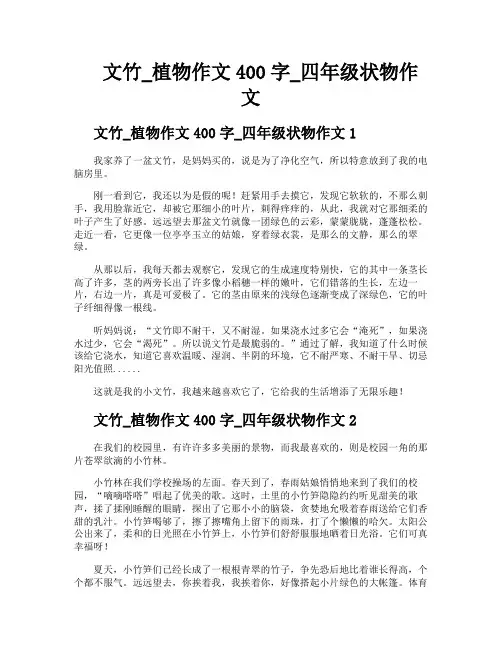 文竹植物作文400字四年级状物作文
