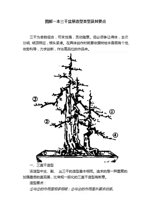 图解一本三干盆景造型类型及其要点