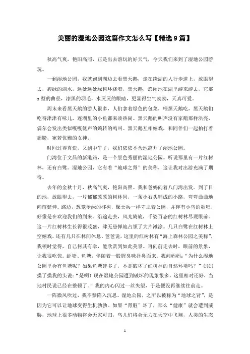 精选美丽的湿地公园这篇作文怎么写【9篇】