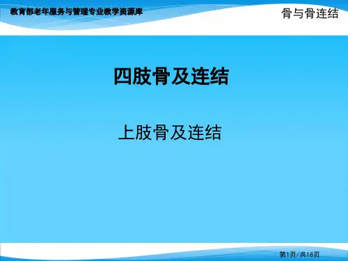四肢骨及其连结--上肢骨及连结教学课件