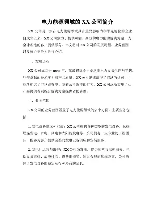 电力能源领域的XX公司简介