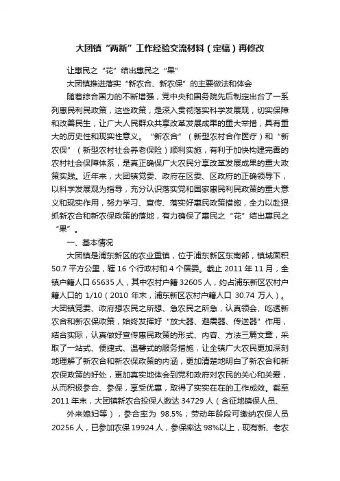 大团镇“两新”工作经验交流材料（定稿）再修改