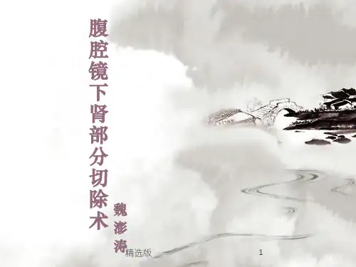 腹腔镜下肾部分切除术ppt课件